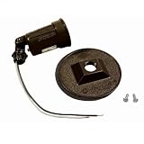 Hubbell-Raco 5624-2 5624 Combination Weatherproof Lamp Holder, 75-150 W, Par38, Metal, Bronze