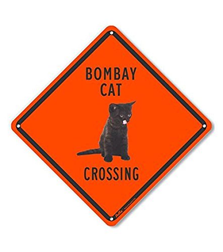 Panneau plastique Bombay Cat Crossing 25x25 cm pour signalisation murale