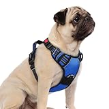 rabbitgoo Dog Harness Small Sized, No Pull Dog Vest with 3 Buckles, Adjustable Soft Padded Pet Harness with Easy Control Handle and Reflective Strips, Royal Blue, S