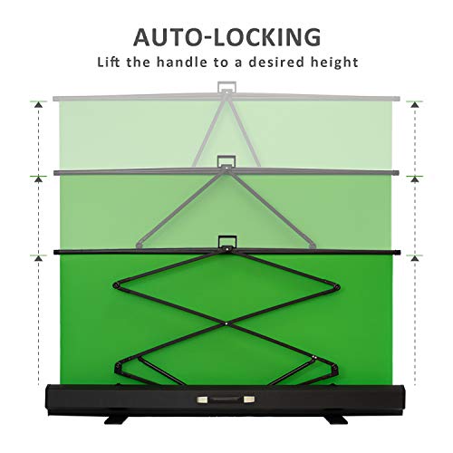 RAUBAY Collapsible Green Screen - Image 2