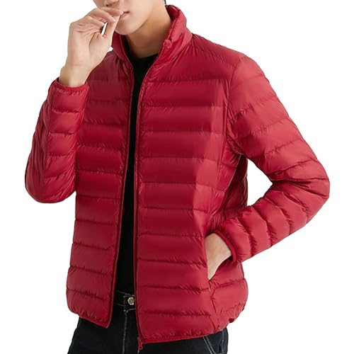 Veste matelassée homme avec manteau d'hiver court pliable et col montant chaud