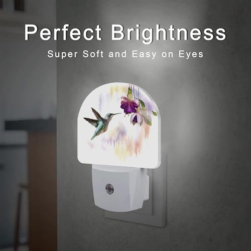 Image of Hummingbird Flowers Night Light for Kids,Groovy Cute Bird Floral Night Light Plug in with Dusk to Dawn Sensor,0.5w Energy Saving Sleep Friendly Nightlight for Hallway Stairway Kitchen Bedroom