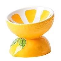 Keramik Katzenfutterschale | Erhöhte Schüssel In Herzform | Schräges Design Für Bessere Verdauung