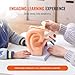 VEVOR Human Ear Anatomy Model, 5 Times Enlarged Human Ear Model, PVC Plastic Anatomical Ear Model for Education, Human Ear Anatomy Displaying Outer, Middle, Inner Ear with Base, 3pcs (2 Removable)