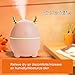 Irfora Mini Humidificador, humidificadores Aire con alimentación USB 200 ml Humidificador portátil...