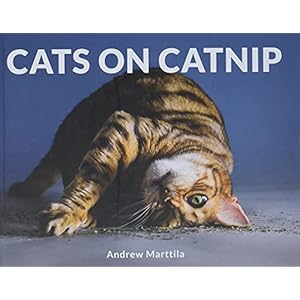 Cats on Catnip Hardcover – June 19, 2018