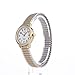 Timex Women's Easy Reader 25mm Watch – Two-Tone Case White Dial with Extra-Long Two-Tone Expansion Band