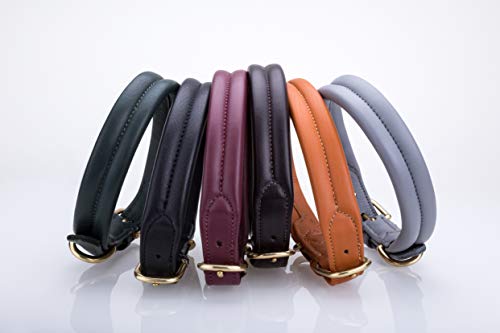 Collier pour chien en cuir véritable rembourré et doux