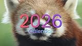 ２０２６レッサーパンダカレンダー