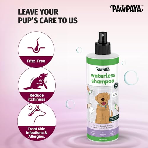 Image of Pawpaya Shampoo Pawpaya Shampoo for Dogs | Gentle Deep Cleansing Formula for Healthy Skin & Soft, Shiny Coat | Suitable for All Dog Breeds & Coat TypesDogs (Waterless Shampoo)