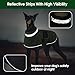 ASENKU Hundemantel für Kleine Hunde XS, Hundemantel Winter Wasserdicht, Fleece Reflektierende Hundejacke Warm mit Verstellbarem,Wintermantel Hund mit Geschirr Loch Karierte für Chihuahua,Dackel