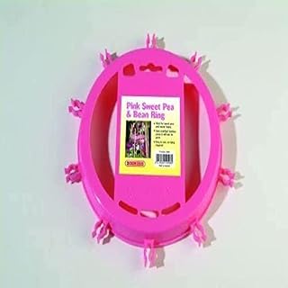 Bosmere Garden Care Green Sweet Pea & Bean Ring, N505