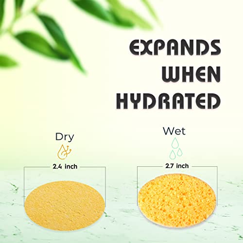 60-Count Compressed Facial Sponges, 100% Natural Cosmetic Spa Sponges for Facial Cleansing, Exfoliating Mask (Yellow Round) - Image 3