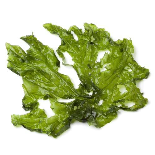 Fresh Lettuce Seaweed 1Kg | Premium Edible Seaweed | Sea Lettuce For Salads, Soups & Sushi | Fresh & Nutrient-Rich