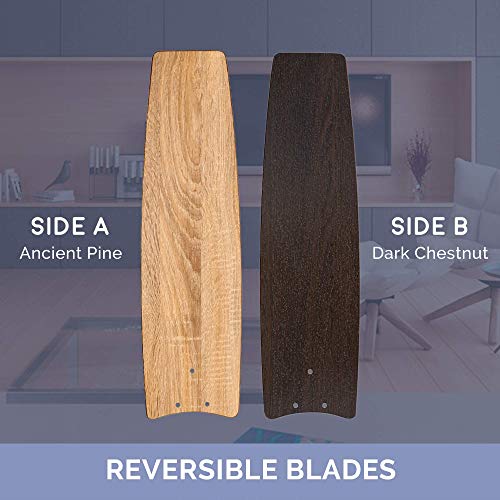 Prominence Home Statham, 52 Inch Contemporary Indoor Led Ceiling Fan With Light, Pull Chain, Dual Mounting Options, Modern Dual Finish Blades, Reversible Motor - 51018-01 (Espresso) #TOP3