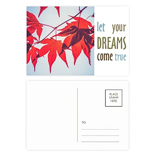 Cartes de remerciement feuilles érable rouge : fini la papeterie fragile