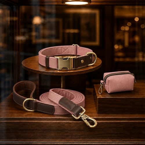 Image of Didog PU Leather Dog Collar for Large Dogs, Soft Nylon Lining, Pink XL