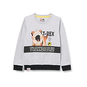 LEGO Lego Jurassic World Sweatshirt jongens Sweater