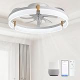 DIAMONDFORGE 20 Inch Flush Mount