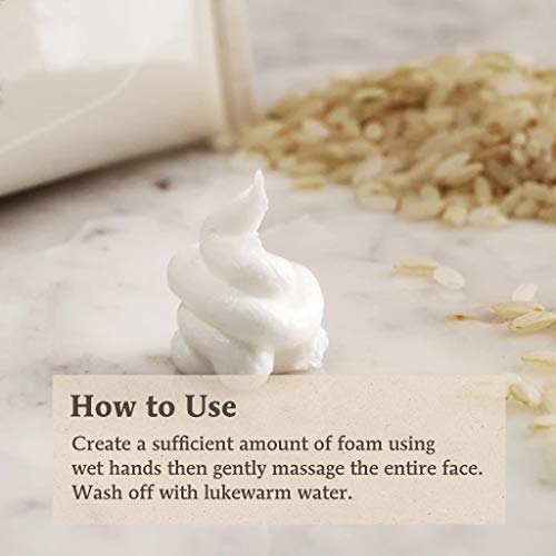 Skin Food Since 1957 RICE DAILY CLEANSING Skinfood Rice Daily Scrub Foam 5.07 Oz. (150Ml) - Hypoallergenic Micro Fine Rice Bran Facial Scrub Foaming Cleanser thumb #2