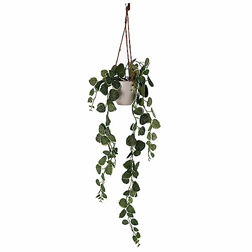 Plantas colgantes artificiales para decorar zonas sin luz y sin riego 2