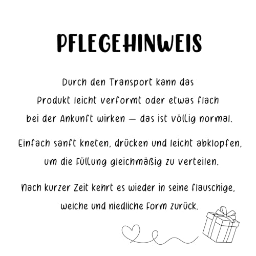 Jahrestag Geschenk für ihn Sie - Handgemachte Gehäkelte Dino mit Energiekarte, Geschenke für Freund Freundin Paar Partner, Pocket Hug Dino, Valentinstag Valentinstagsgeschenk, Hochzeitstaggeschenke