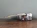Transformers Beast Wars Transmetals 2 Stinkbomb