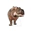 Hippopotamus