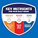 BOOST Plus Nutritional Drink, Rich Chocolate, 8 fl oz (Pack of 24)