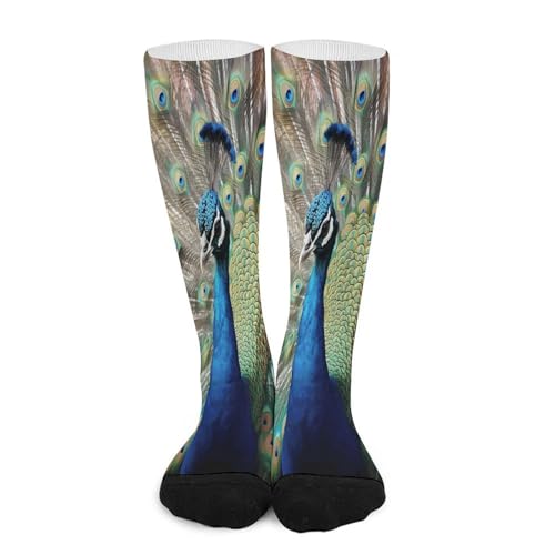 FekiLoot The Peacock Compression Socks Cozy Soft Support Socks Fashion Breathable Knee High Tube Socks for Adult