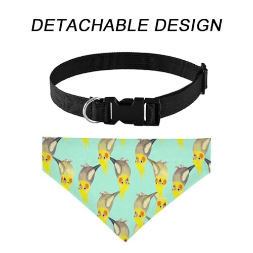 Bavoir lavable oiseaux et calopsitte élégant accessoire photo de mariage animaux