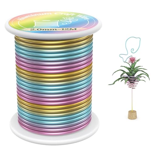 VynyQoo 2mm Basteldraht, 12m Modellierdraht, Aludraht Draht Bunt, Weicher Aluminiumdraht, Schmuckherstellung Bindedraht pour Basteln DIY