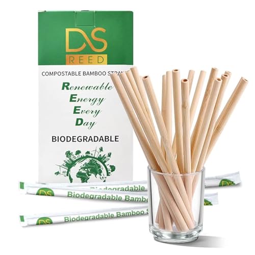 100 pitillos de bambú DS Reed biodegradables 7.8 pulgadas miniatura 1