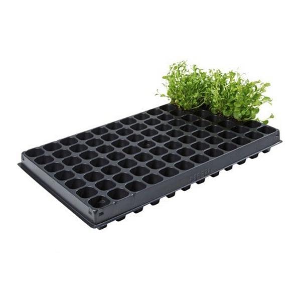 Professional 84 Cell Plug Trays (Pack Of 2) Gardening Outdoor Growing