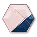 Harlow & Grey Erika Pink Navy with Rose Gold Large Paper Plates, Pack of 8 - Birthday, Wedding, Showers Disposable Party Plates