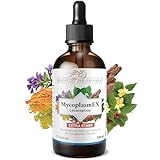 Phoenix der Lebenskraft