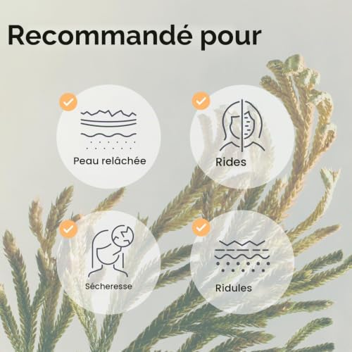 Abib Masque Gel au Collagène à la Jeridho Rose – 10 Feuilles | Masque Visage Hydrogel Rafraîchissant et Nourrissant à l’Acide Hyaluronique – vue 8