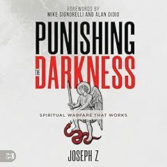 Punishing the Darkness Audiobook By Joseph Z cover art