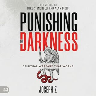 Punishing the Darkness Audiobook By Joseph Z cover art