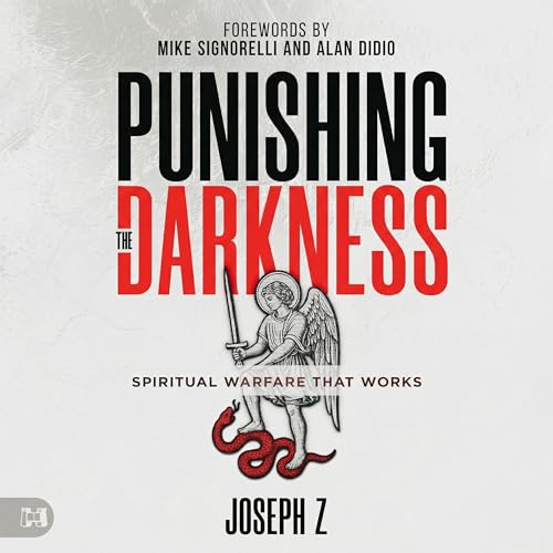 Punishing the Darkness Audiolivro Por Joseph Z capa