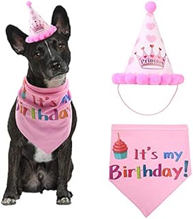 Minishark Dog Birthday Bandana Scarfs with Cute Doggie Party Hat (Pink)