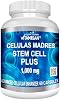 VITAMISAN Células Madres 6 Botellas Alga Verde Azul AFA 8