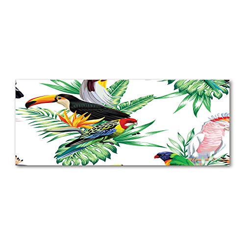 Verre de sécurité trempé Tulup 125x50cm dosseret résistant oiseaux tropicaux