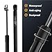 Rear Trunk Lift Supports for Lexus IS250 IS300 IS350 2006 2007 2008 2009 2010 2011 2012 2013 2014 2015 Shock Struts (Pack of 2) PM1016 6453053014