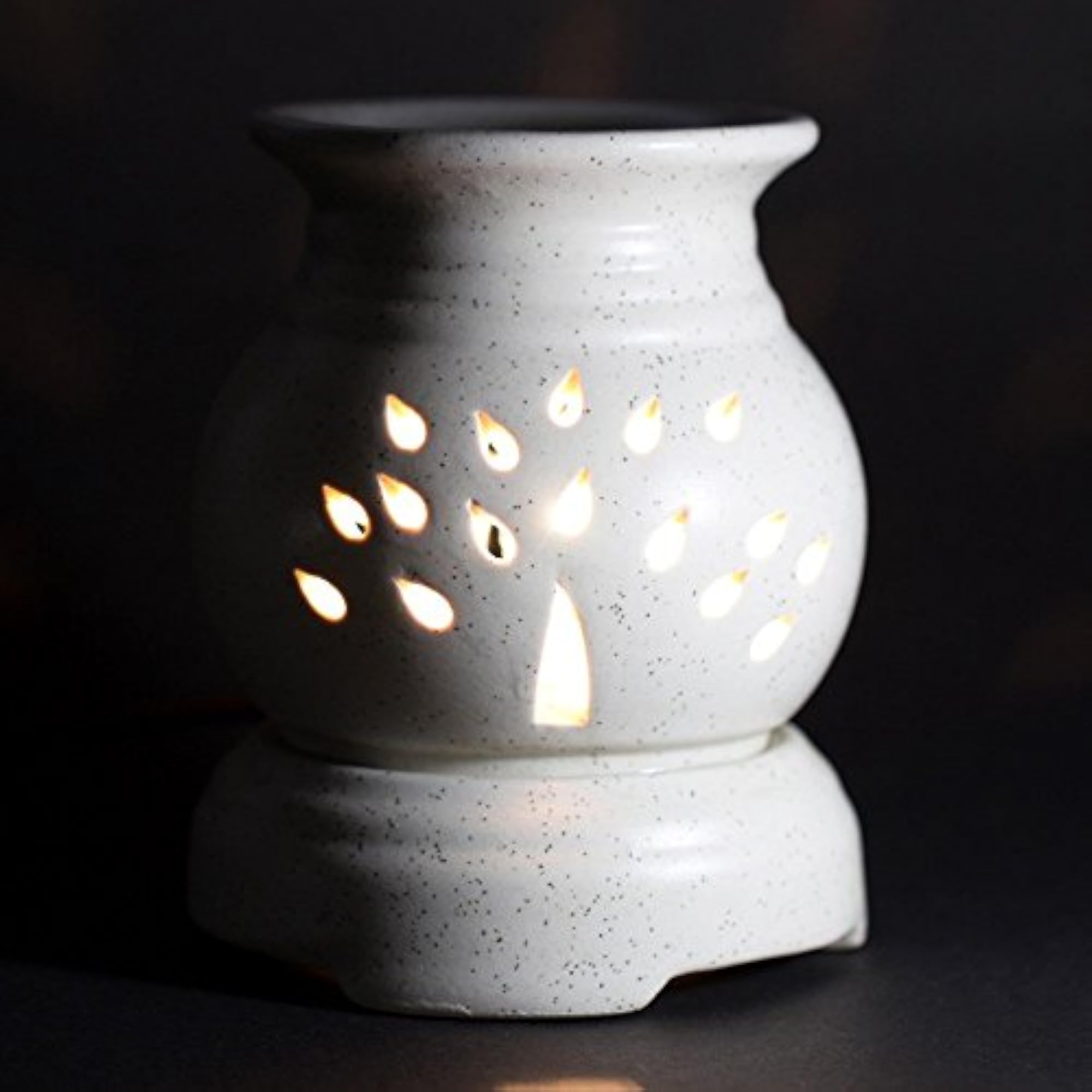 Ceramic Diffuser White Pot