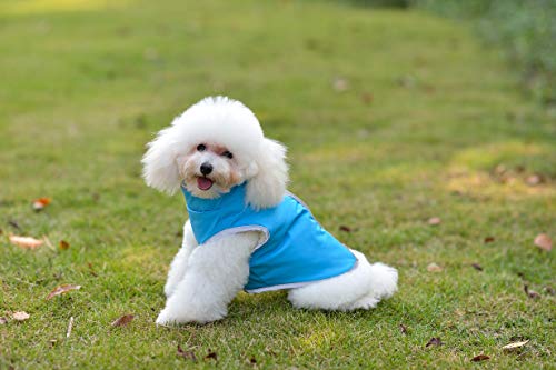 Comfortland Waterproof Reversible Fleece Lined Warm Dog Jacket for Puppy Winter Cold Weather