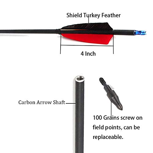 Handbaige 12Pcs Archery 31 Inch Carbon Target Arrows Spine 600 Shield Turkey Feathers With Replacement Screw-In Field Points Tips For Recurve, Compound And Long Bow Hunting Or Practice #TOP1
