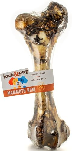 Jack&Pup Mammoth Big Dog Bones for Large Dogs 15 Femur Beef Bones for Agressive Chewers Natural Giant Dog Bone (1 Pack)
