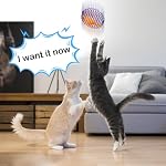 Jecery 5 Pcs Cat Spring Balls Toys Stretchable Rolling Balls Colorful Playful Coils Interactive Action Toy Caged Rats for Kitten Pet Supplies (Mouse,Multicolor) - Image 6