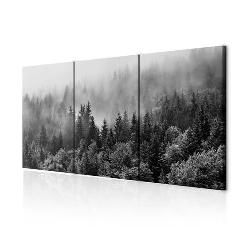 decomonkey Bilder Wald 180x90 cm 3 Teilig Wandbild Groß Leinwandbild XXL Deko Wohnzimmer Schlafzimmer Büro Wanddeko Leinwand Pictures For Wall Poster Wall Painting Baum Nebel Schwarz- Weiß Grau decomonkey Bilder Wald 180x90 cm 3 Teilig Wandbild Groß Leinwandbild XXL Deko Wohnzimmer Schlafzimmer Büro Wanddeko Leinwand Pictures For Wall Poster Wall Painting Baum Nebel Schwarz- Weiß Grau